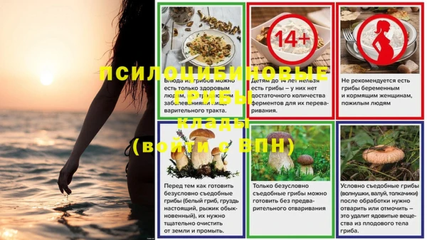 2c-b Абинск