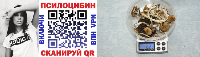 Галлюциногенные грибы Psilocybine cubensis Талдом